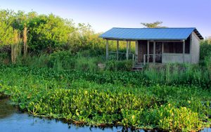 Floating "sugar shack" located in Blue Cypress Preserve in Vero Beach, Florida.