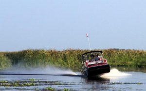 The thrilling ride on board the Gator Bait.